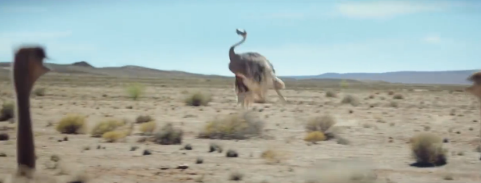 有夢，你也可以飛！_廣告片拍攝