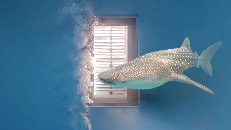 衛(wèi)浴廣告片制作,創(chuàng)意和賣點(diǎn)很重要