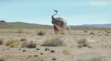 有夢，你也可以飛！_廣告片拍攝